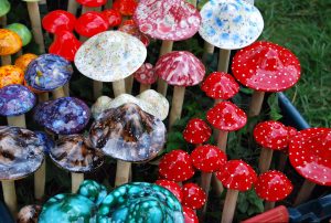 Psychedelic Symphonies: Quality Magic Mushrooms for All